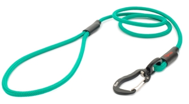 klassische Hundeleine TWIST mini - S - 115cm - grün